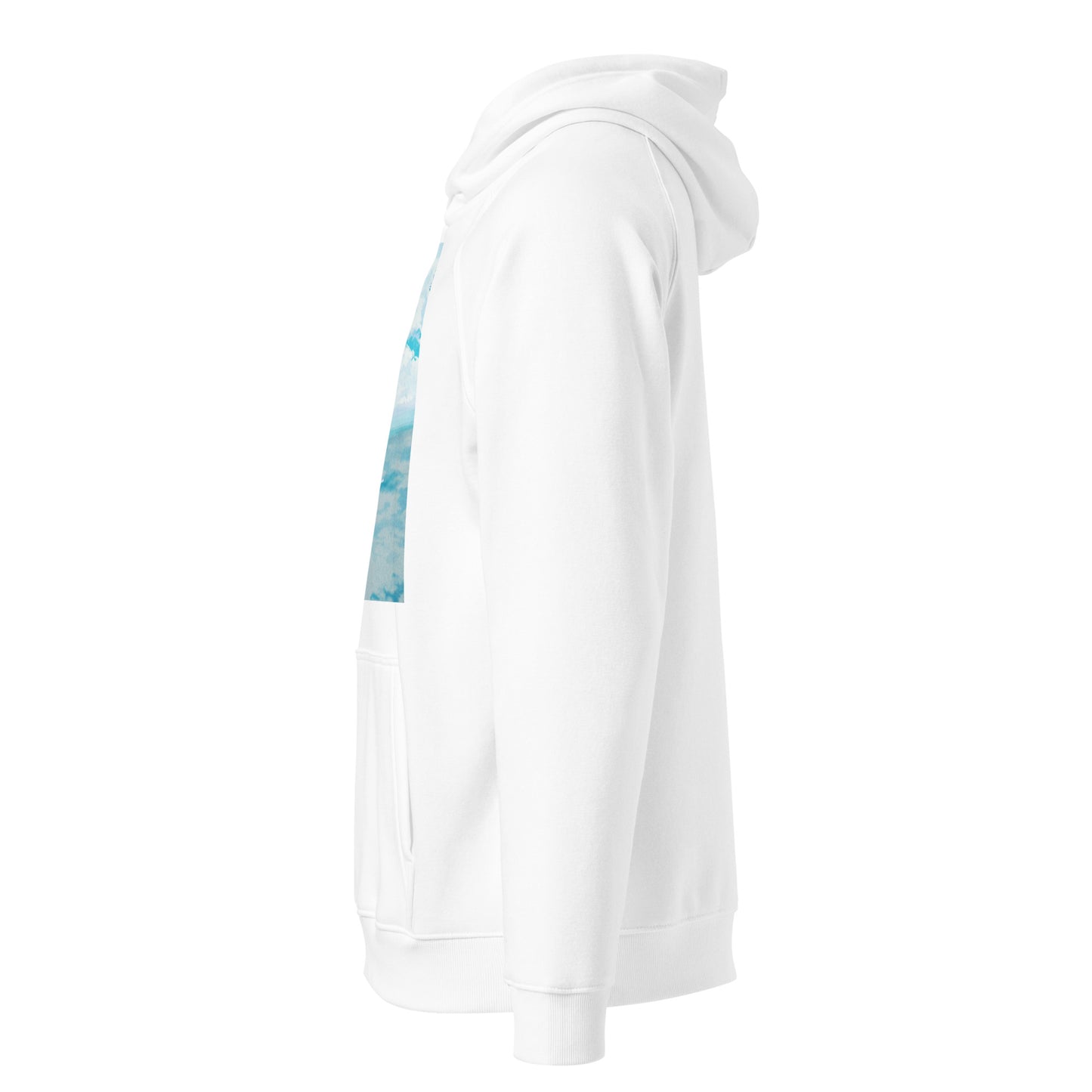 Unisex eco raglan hoodie